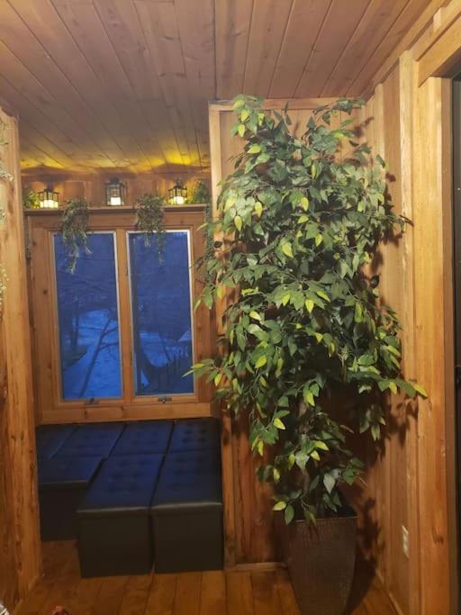 マギー・バレー J.Creek Retreat, Creekside Townhouse +1 Car Garageヴィラ エクステリア 写真